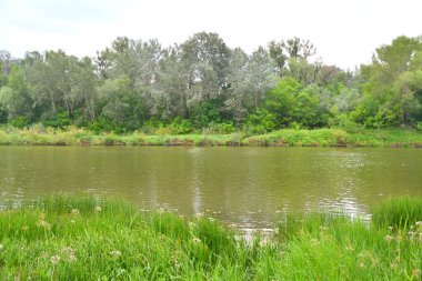Nehri üzerinde sabah bulutlu hava yaz