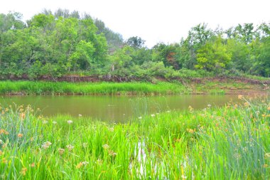 Nehri üzerinde sabah bulutlu hava yaz
