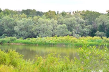 Nehri üzerinde sabah bulutlu hava yaz