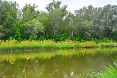 Nehri üzerinde sabah bulutlu hava yaz