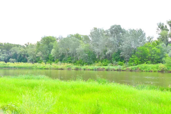 Mattina Sul Fiume Estate Con Tempo Nuvoloso — Foto Stock