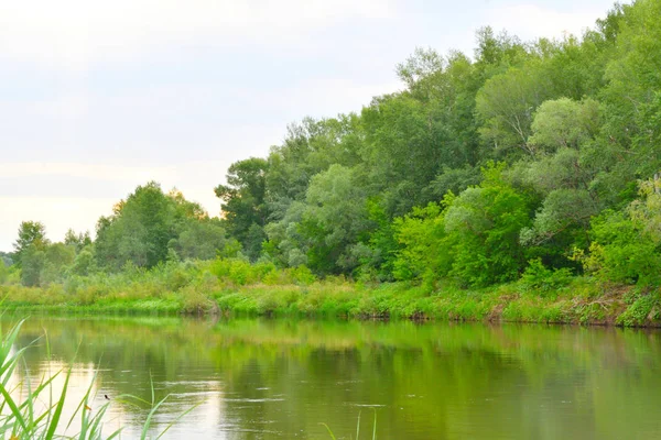 Matin Sur Rivière Été Par Temps Nuageux — Photo