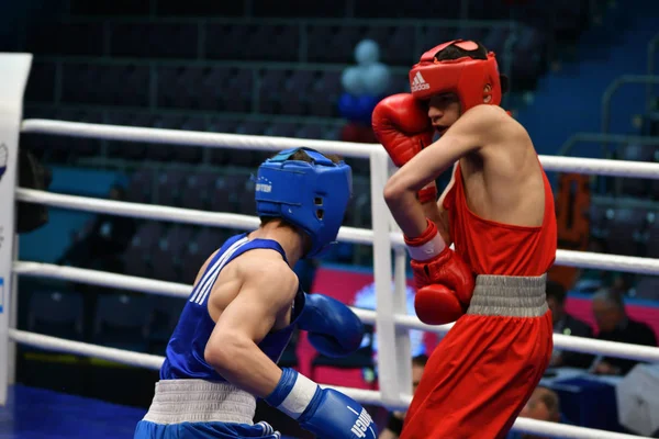 Orenburg Russia May 2017 Year Boys Boxers Compete Championship Russia — Stock Photo, Image