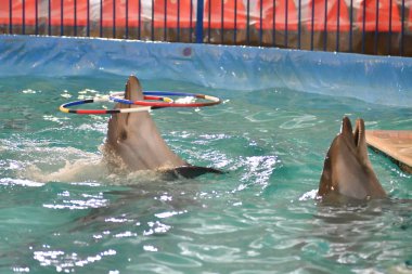 Yunus hoop egzersiziyle kapalı havuzda gerçekleştirir.