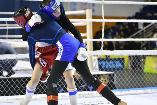 Orenburg Rusia Febrero 2017 Año Los Combatientes Compiten Artes Marciales — Foto de Stock