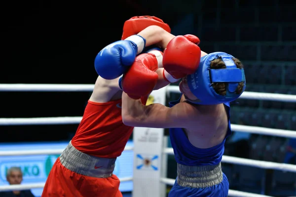 オレンブルク ロシア連邦 可能性があります 2017 1999 2000 年生まれの後輩の間でボクシングのロシア選手権で競う少年ボクサー — ストック写真