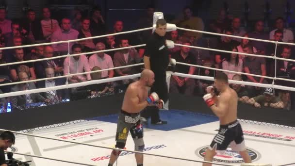 Orenburg Rússia Junho 2018 Ano Lutadores Competem Artes Marciais Mistas — Vídeo de Stock