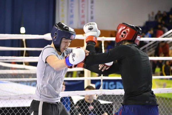 Orenburg Rússia Fevereiro 2017 Ano Lutadores Competem Artes Marciais Mistas — Fotografia de Stock