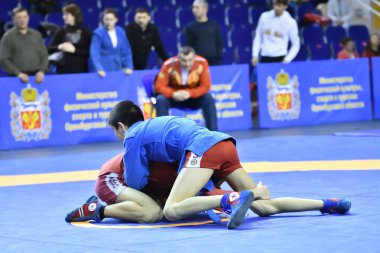 Orenburg, Rusya - 16 Şubat 2019: Çocuklar yarışmalar Sambo