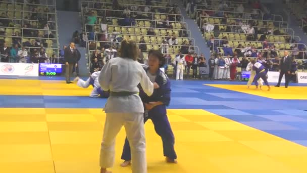 Orenburg Russland Oktober 2017 Mädchen Messen Sich Judo Beim Allrussischen — Stockvideo