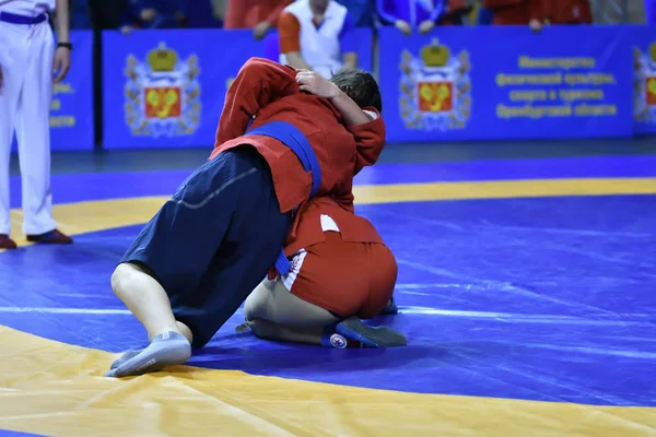 Orenburg, Rússia - 16 de fevereiro de 2019: competições de meninas Sambo — Fotografia de Stock