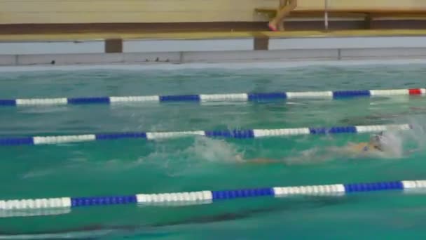Orenburg Russia Novembre 2016 Ragazze Piscina Gareggiano Stile Nuoto Crawl — Video Stock