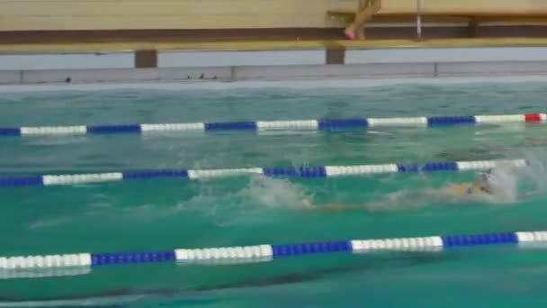 Orenburg Rússia Novembro 2016 Meninas Piscina Competem Estilo Crawl Natação — Vídeo de Stock