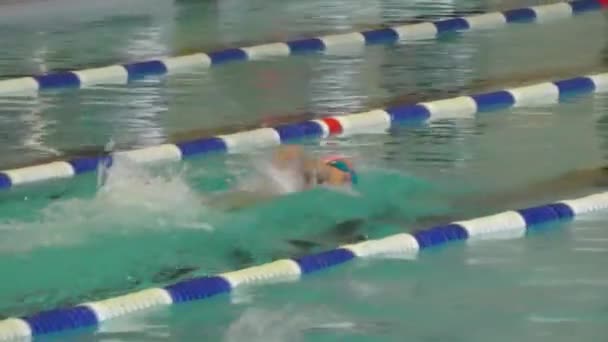 Orenburg Rússia Novembro 2016 Meninas Piscina Competem Estilo Crawl Natação — Vídeo de Stock