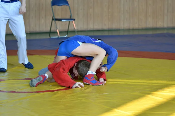 Orenburg, Rusya - 23 Şubat 2019: Çocuklar yarışmalar Sambo — Stok fotoğraf