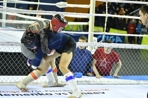 Orenburg, Russia - February 18, 2017 year: The fighters compete in mixed martial arts — Stock Photo, Image