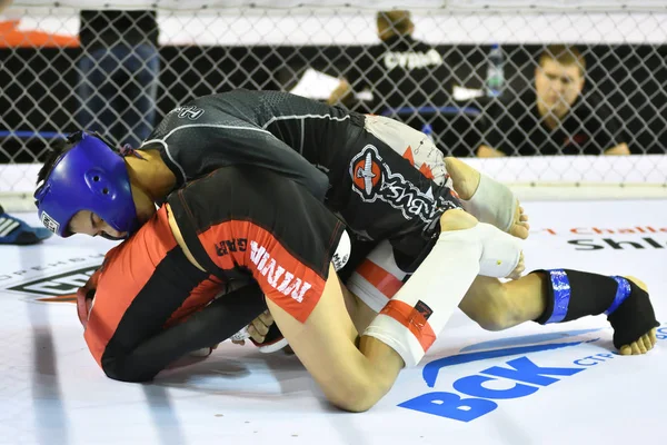 Orenburg, Rusia - 18 de febrero de 2017 año: Los combatientes compiten en artes marciales mixtas — Foto de Stock