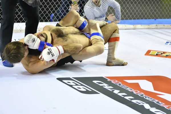 Orenburg, Russia - February 18, 2017 year: The fighters compete in mixed martial arts — Stock Photo, Image