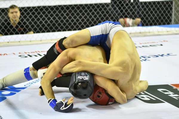 Orenburg, Rusia - 18 de febrero de 2017 año: Los combatientes compiten en artes marciales mixtas — Foto de Stock