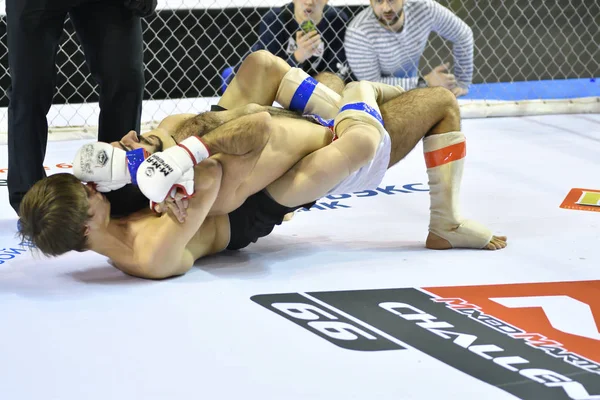 Orenburg, Rusya Federasyonu - 18 Şubat 2017 yıl: karışık dövüş sanatları savaşçılar rekabet
