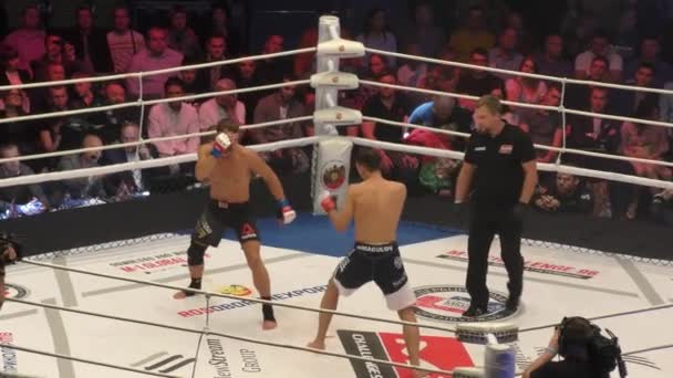 Orenburg Rússia Junho 2018 Ano Lutadores Competem Artes Marciais Mistas — Vídeo de Stock