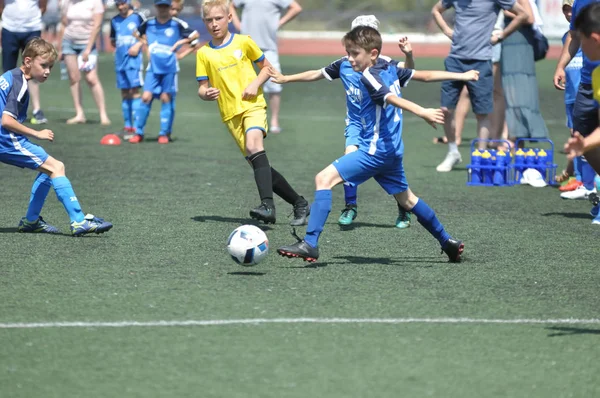 Orenburg, Rusya - 2 Haziran 2019 yıl: Erkekler futbol oynuyor
