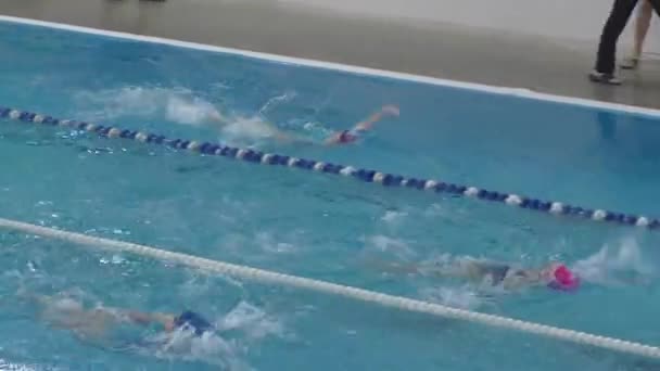 Orenburg Ρωσία Απριλίου 2016 Κορίτσια Κολυμπούν Κλειστή Πισίνα — Αρχείο Βίντεο