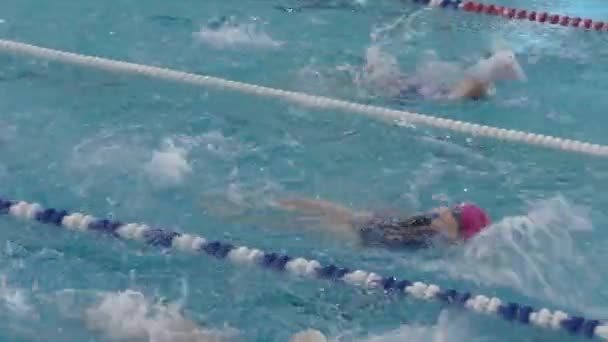 Оренбург Росія Квітня 2016 Дівчата Плавають Закритому Басейні — стокове відео