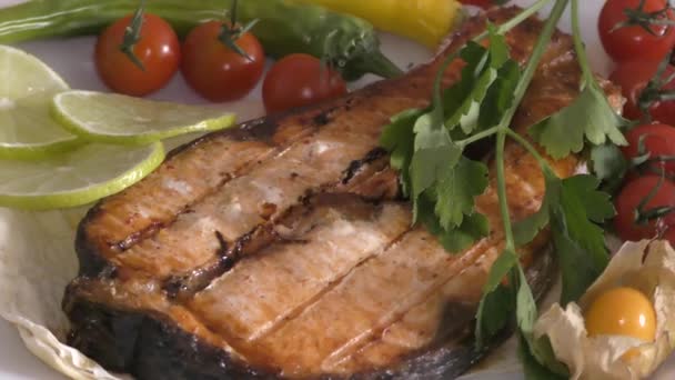 Σολομός Λατινικά Salmo Salar Ένα Είδος Σολομού Λατινικά Ψάρια Σολομού — Αρχείο Βίντεο