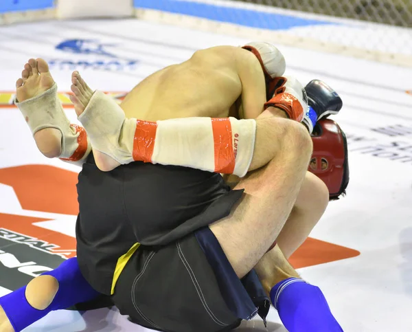 Orenburg Rusland Februari 2017 Jaar Vechters Strijden Mixed Martial Arts — Stockfoto