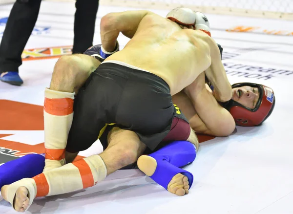 Orenburg Rusia Febrero 2017 Año Los Combatientes Compiten Artes Marciales — Foto de Stock