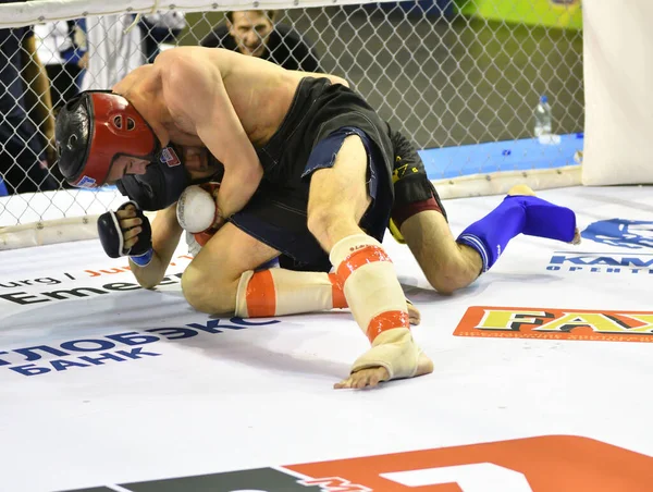 Orenburg Rusia Febrero 2017 Año Los Combatientes Compiten Artes Marciales — Foto de Stock