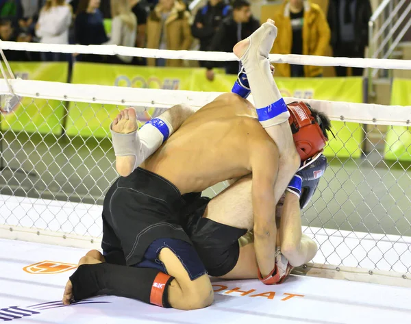 Orenburg Rusia Febrero 2017 Año Los Combatientes Compiten Artes Marciales — Foto de Stock