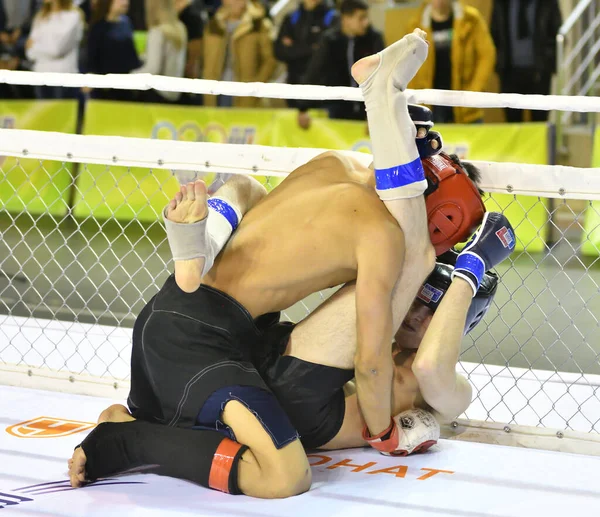 Orenburg Rusia Febrero 2017 Año Los Combatientes Compiten Artes Marciales — Foto de Stock