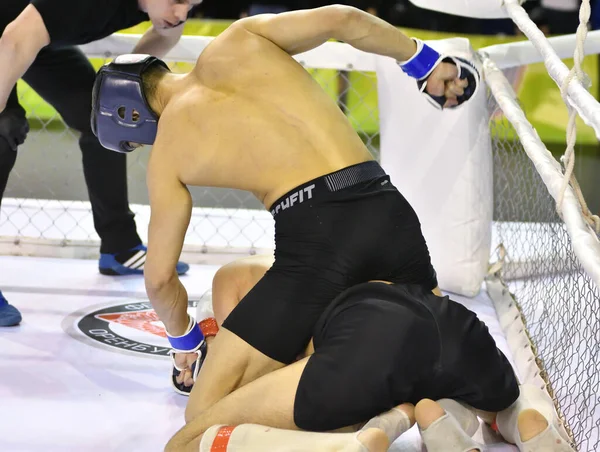 Orenburg Rusia Febrero 2017 Año Los Combatientes Compiten Artes Marciales —  Fotos de Stock