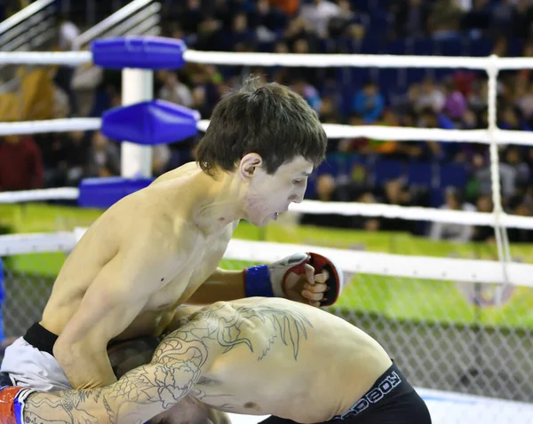 Orenburg Rusland Februari 2017 Jaar Vechters Strijden Mixed Martial Arts — Stockfoto