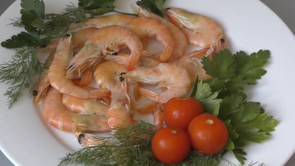 Langostinos Latín Caridea Las Recetas Los Platos Culinarios Con Camarón — Vídeos de Stock