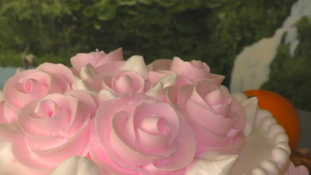 Pastel Galletas Decorado Con Rosas Crema — Vídeo de stock