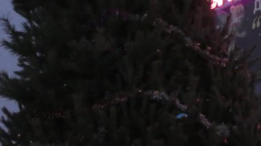 Noel ağacında çok renkli ışıkları olan çelenkler.