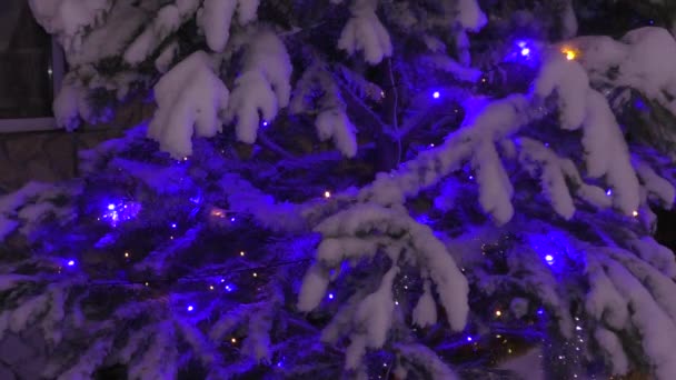 Girlanden Mit Bunten Lichtern Weihnachtsbaum — Stockvideo