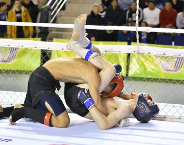 Orenburg, Rusya - 18 Şubat 2017: Dövüşçüler, Orenburg bölgesindeki karma dövüş sanatları şampiyonasında (MMA) mücadele etmektedirler.