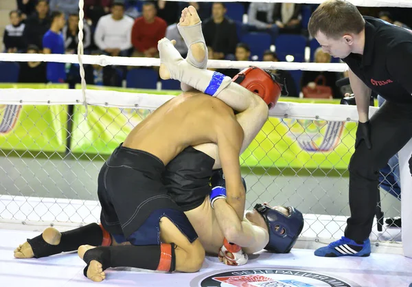 Orenburg Rusia Febrero 2017 Año Los Combatientes Compiten Artes Marciales — Foto de Stock