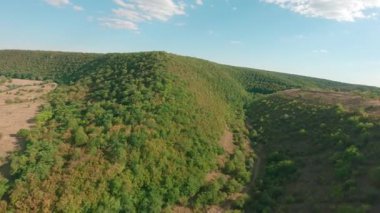 FPV insansız hava aracı görüntüsü. Moldova Ulusal Parkı, Furceni Köyü, Moldova, Avrupa 'nın doğa manzarası