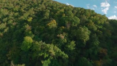 FPV insansız hava aracı görüntüsü. Moldova Ulusal Parkı, Furceni Köyü, Moldova, Avrupa 'nın doğa manzarası