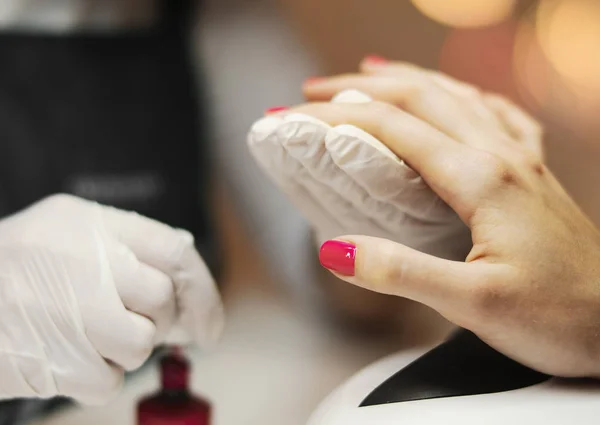 The manicure master paints nails with nail polish in the beauty salon.