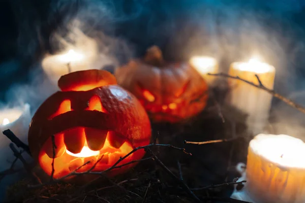 Halloween Pumpkins in a spooky forest at night — Stock Photo, Image