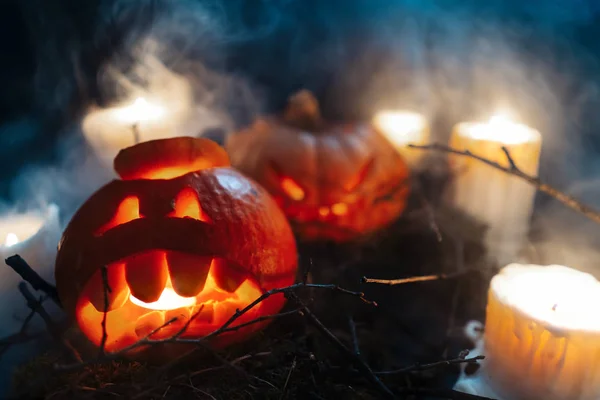 Calabazas de Halloween en un bosque espeluznante por la noche —  Fotos de Stock