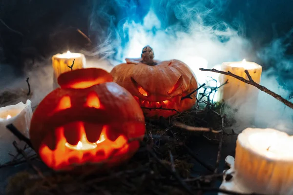 Calabazas de Halloween en un bosque espeluznante por la noche —  Fotos de Stock