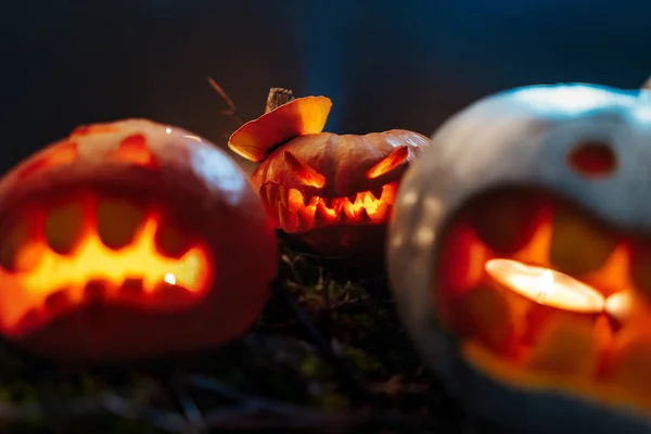 Calabazas de Halloween en un bosque espeluznante por la noche —  Fotos de Stock