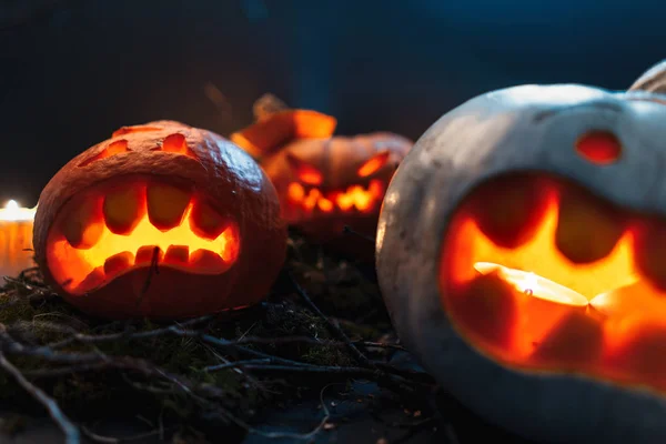 夜の不気味な森のハロウィンかぼちゃ — ストック写真